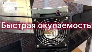 Майнер (Асик) Avalon 841