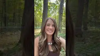 How Long Do Maple Trees Live?