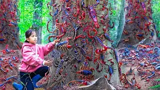 Harvesting Scorpions in the Forest & Catching White Mice for the Local Market 🌿 | Farm Life Tropics