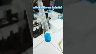 #hydratedsalt #actionofheat #colouredsalt #class10 #chemistry #labwork