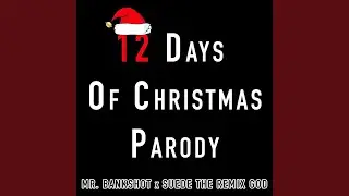 12 Days of Christmas Parody