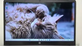 HP Compaq 250 &mdash; как изменить яркость экрана