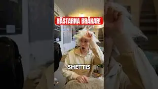 Om h&auml;star hade m&ouml;ten, del 5😂🐴 #humor #stall Inspelat hos H&auml;st&aring;keriet 😍