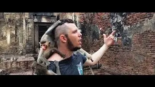 MAURYCY RA - Miejski Folklor [ OFFICIAL VIDEO ]