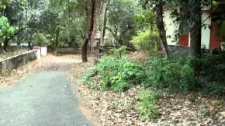 MOV01550