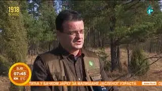 Deliblatska peščara