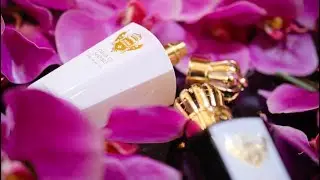 Presentation of a new brand Noble Royale in our Puerto Banus store