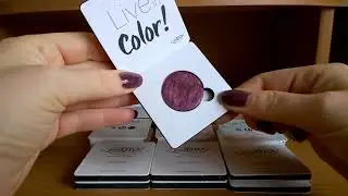 PUROBIO - Live in color! eyeshadow swatches