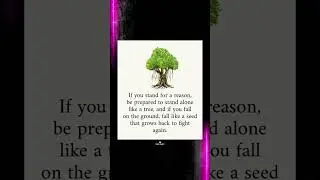 #stand #tree #grow #quotes #status #quoteoftheday #quotesaboutlife #words #thoughts #shorts