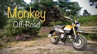 Honda Monkey 2019 - Off Road + Twisties UK