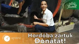 Lepofozzuk a bogyókat: szüret mesterfokon | MMG