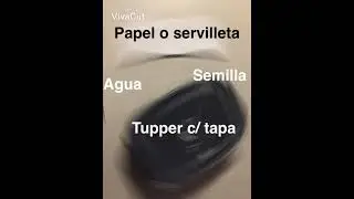 Germinar semillas de zapote negro