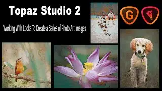 TOPAZ STUDIO  2//Using LOOKS to Create a Series of Photo Art//Plus UpSizing Photo Art (GigaPixel Ai)