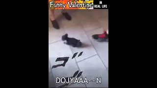 Funny Valentine's D4C in Real Life