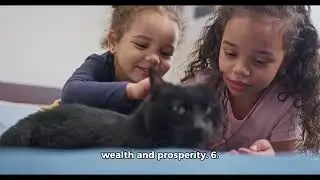 10 Fun Facts about Black Cats