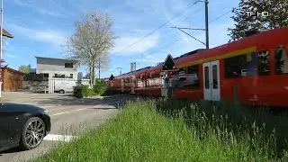 Railroad Crossing - Jegenstorf (CH) - Bahnübergang Solothurnstrasse , Passage à niveau
