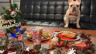 【聖夜】クリスマスパーティーで必死なぶぶたさんが面白すぎたwww
