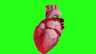 Heart heartbeat green screen effect