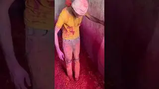 ⚡⚡ Kumkum Powder Making Process⚡⚡ #shorts #telugufoodie #esangathulu #streetfood #foodie #omelette