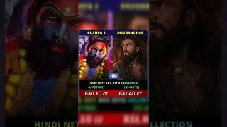 Pushpa 2 Hindi Nett Vs Dhurandhar Hindi Nett Box Office Collection #shorts #dhurandhar #boxoffice