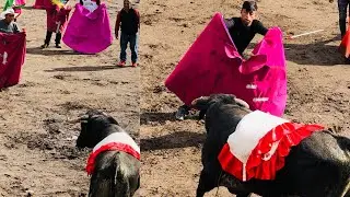 Toros populares cayambe 2023 (sábado ) mano a mano de ganaderías Victor Elejalde vs luz de America