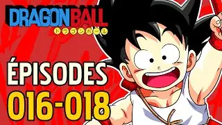 KAME SENNIN'S TRAINING DRAGON BALL EPISODES 016-018 - DBREVIEW