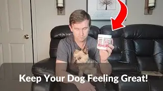Dog UTI Treatment Review | 170 Cranberry Treats for Bladder Control & Urinary Health