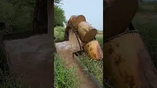 Ancient Technology: Rehat Water Wheel | Persian Wheel | #Shorts #villagelife #Oxen