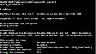 How to place 11g database in Archivelog mode