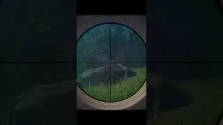 Water Buffalo Wouldn&rsquo;t Die #hunting #thehuntercallofthewild #gaming #golive #fyp #shorts #buffalo