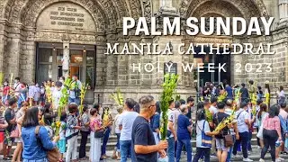 Palm Sunday At Manila Cathedral | Holy Week 2023 | Manila City