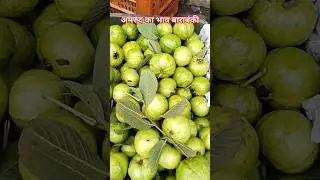 अमरुद का भाव👍 guava rate 🥰 barabanki 🥰 shafeeq Mohammad #shafeeqmohammad #barabanki #guava #fruits