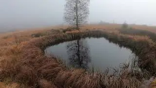 Novembernebel im Hohen Venn- Brouillarrd en Fagne - 4K