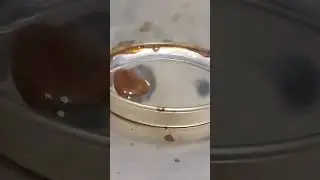 solder pot
