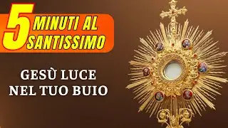 5 Minuti di Preghiera con Gesù Sacramento - La Via di Damasco: Una Luce Nel Tuo Buio