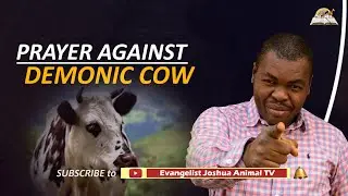 Prayer Against Demonic Cows - Dream Symbolism and Meaning