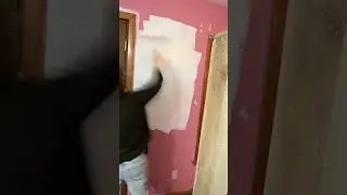 Phase 1: Goodbye Pink Walls! #diy #home #renovation #transformation #painting #newhome #new #house