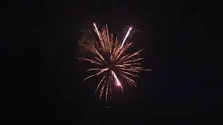 Coco Palm   500 Gram Cake Sunwing Fireworks