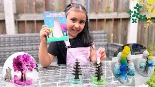 Magic Growing Trees From Amazon/kids science experiment #magic #Science