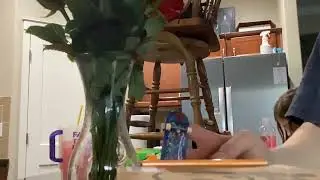 Stezzy tech deck diy half pipe