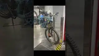 Fox 38