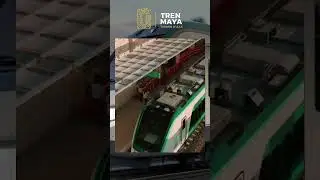 Tren Maya | Bienestar para el sureste (cap&iacute;tulo 1). Mar adentro, de Palenque a Canc&uacute;n