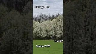 what a view check it out #Chicago  #spring #2025  #reels #video #videoshort #videooftheday #insta