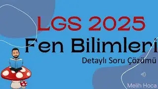 LGS 2025 Fen Soruları Çözüldü Şimdi Öğren!