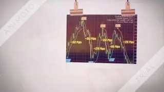 Pips Wizard Pro - Forex Indicator review_Does It Works Or it is a scam?