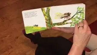 Etchells EYFS Bedtime Stories