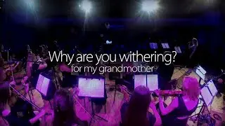 Paweł Kasper Wysocki - Why are you withering