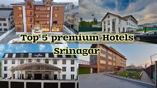 Top 5 luxury Premium Hotels In Srinagar | #curlyroads #srinagarhotels #kashmirtrip #hotels #dallake