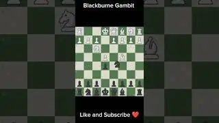 Knight is too fast 🔥🔥Keep Up#chess #magnus #chessgame #checkmate #gambit