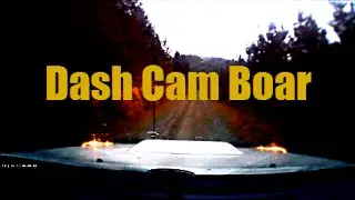 Dash cam boar
